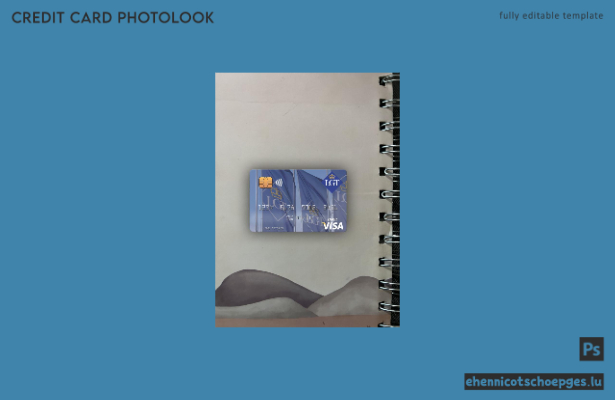 Liechtenstein LGT Bank Visa Debitkarte Fotoansicht Beispielvorschau